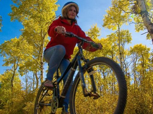 Trail Development