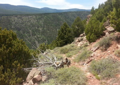 Trail Development